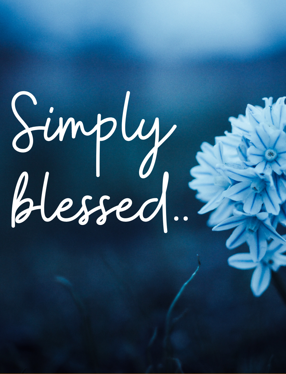 Simply Blessed Air Freshener
