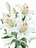 Elegant White Lily Bouquet - Air Freshener