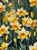 Golden Daffodil Garden - Air Freshener