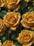 Golden Yellow Rose Garden - Air Freshener